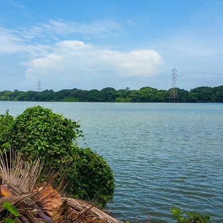 River View منغالور المظهر الخارجي الصورة